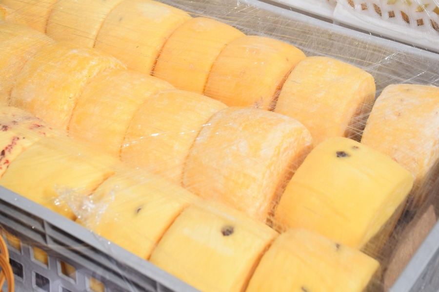 ���� ������ 2025